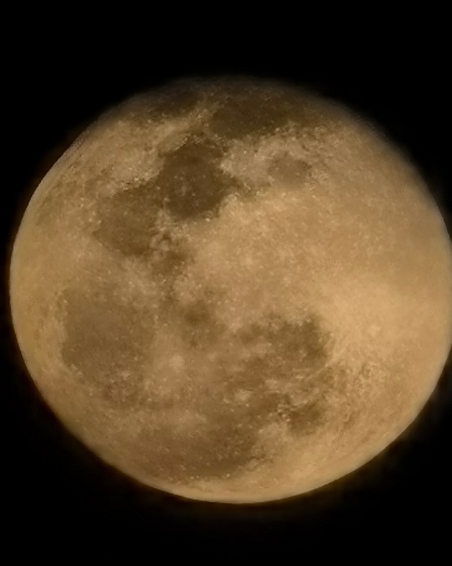 派大星